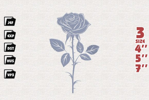 Beautiful Rose Flower Review