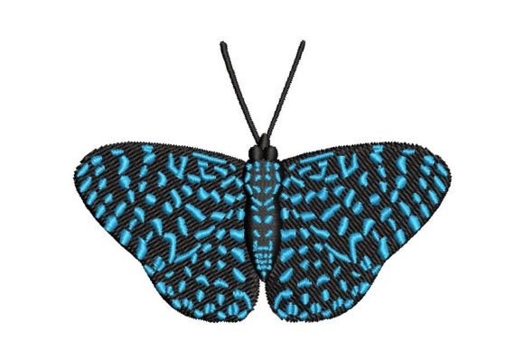 Hamadryas Butterfly Embroidery Review