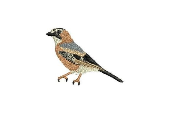 Jay Bird Embroidery Design Review for Small Business Merch